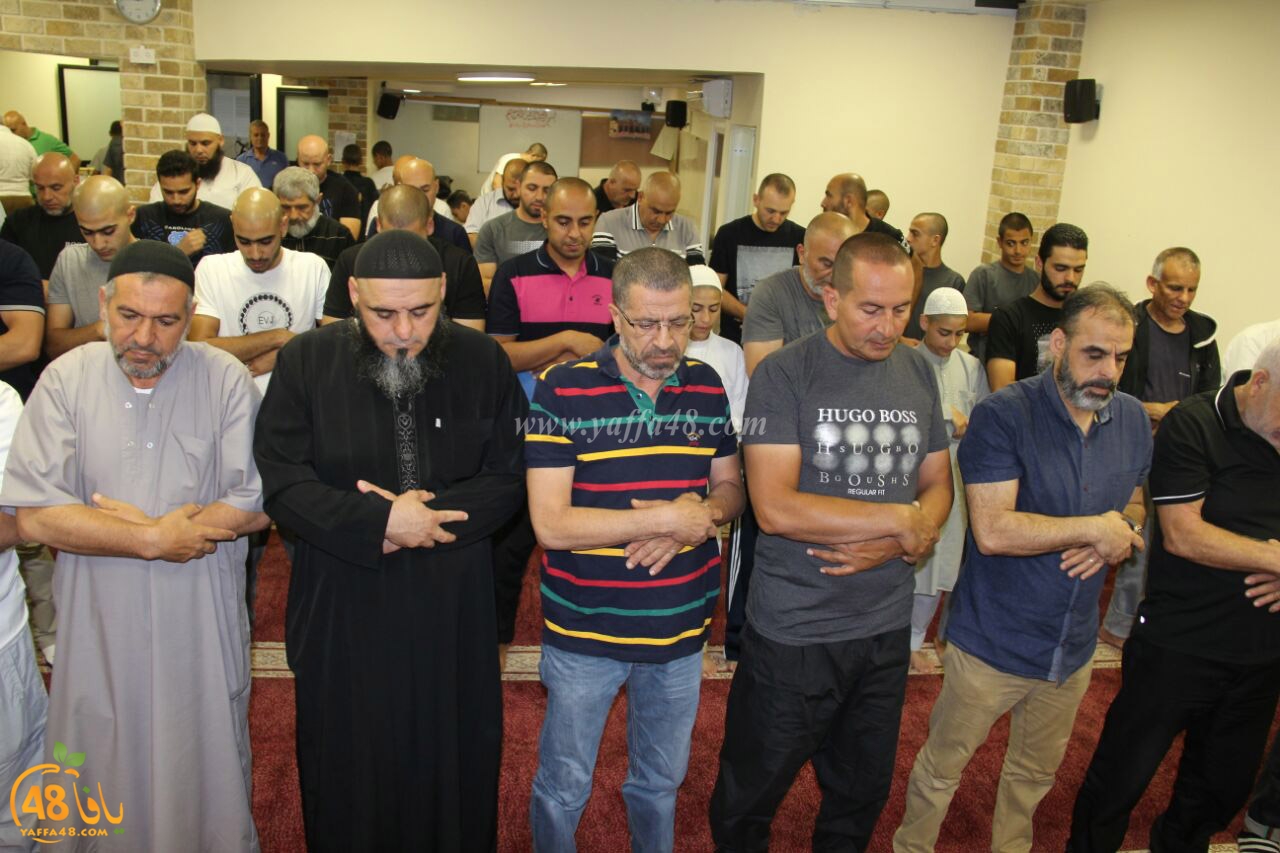 trawe7 mohamed fateh (1).jpg